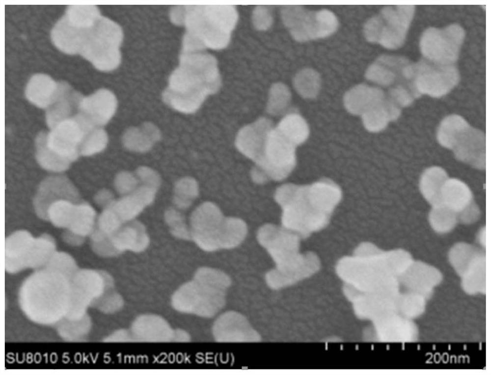 A kind of preparation method of nano cerium oxide particle