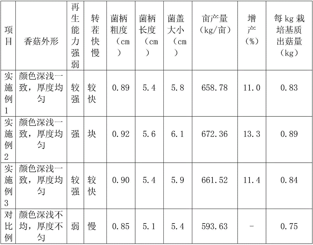 Shiitake mushroom culture substrate and production method of shiitake mushroom culture substrate