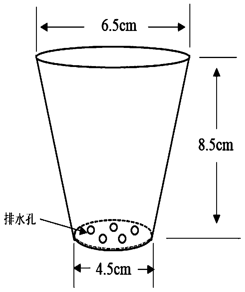 Artificial feeding method of diaphorina citri kuwayama