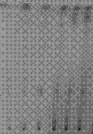 Method for detection of rehmannia glutinosa in Qingwenbaidu powder