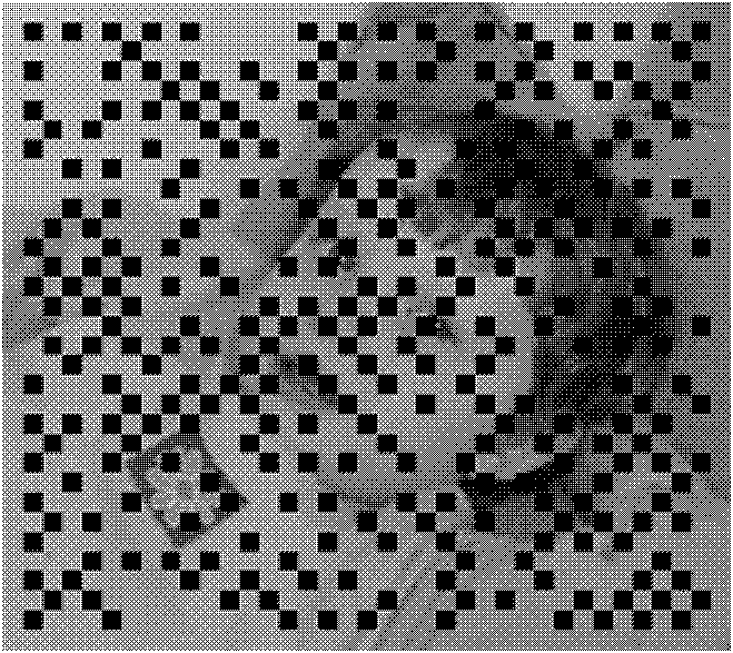 Black-and-white image colorizing method based on two-sided filter