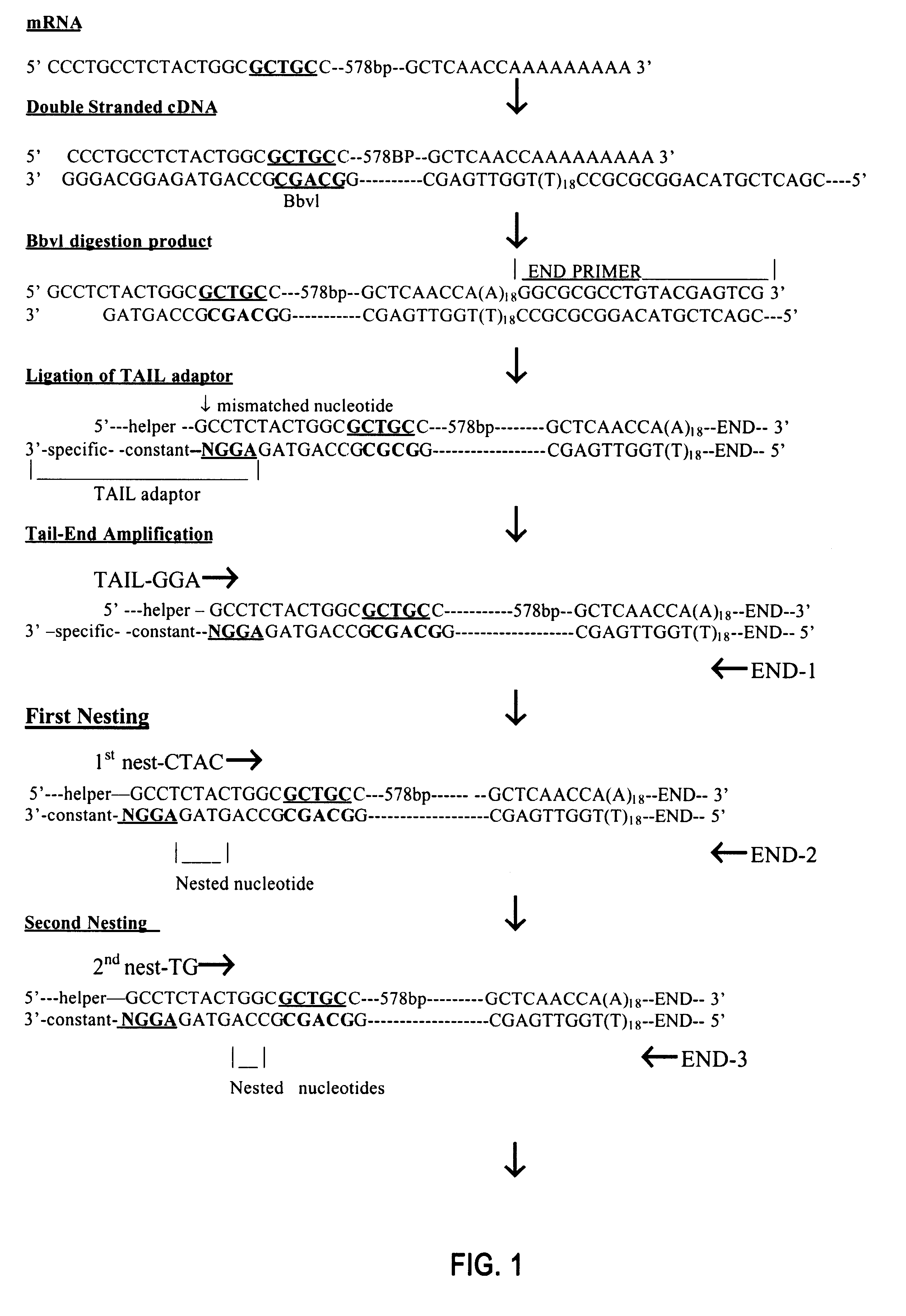 Sequence-dependent gene sorting techniques