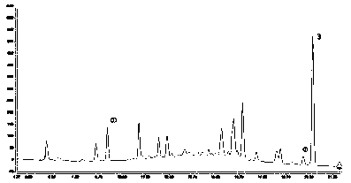 Microwave processing technology of wine-fried radix dipsaci