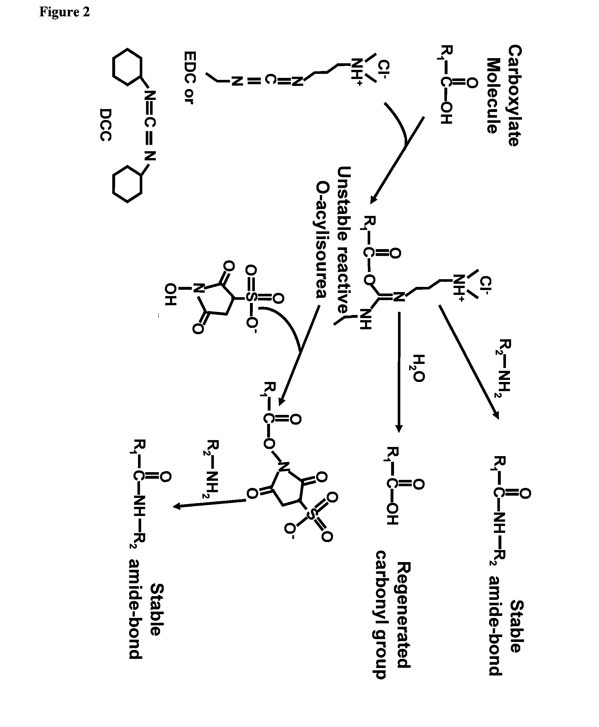 Hydrophobic core carrier compositions for delivery of therapeutic agents, methods of making and using the same