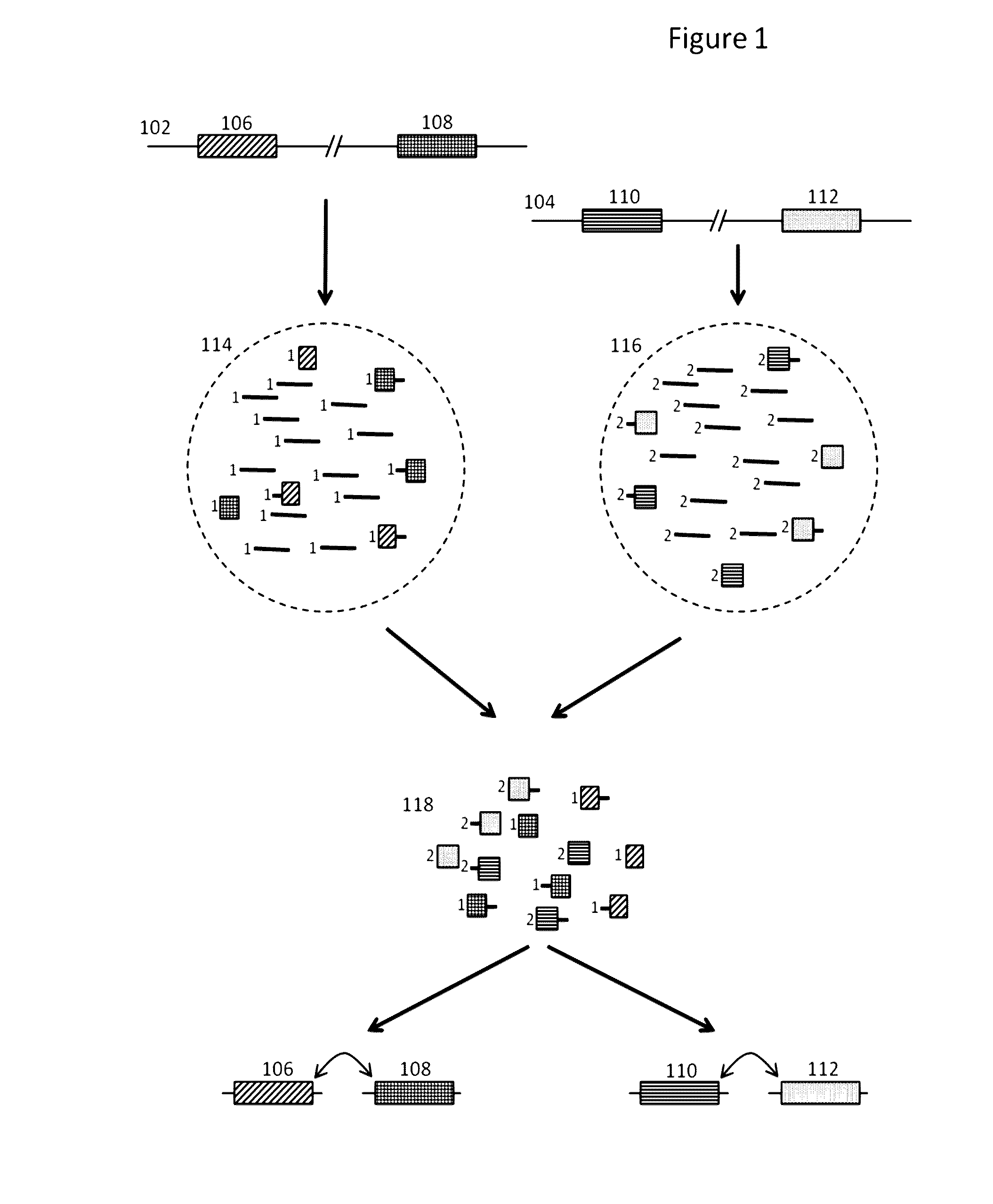 Methods and compositions for targeted nucleic acid sequencing