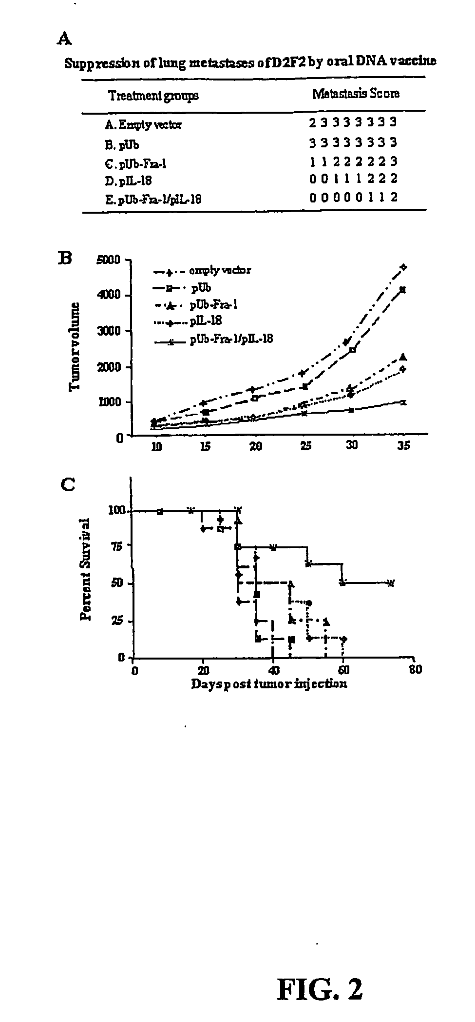 Dna vaccines against tumor growth and methods of use thereof