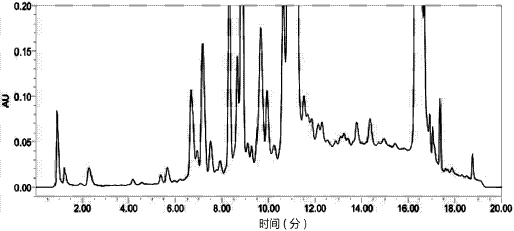 Wheat germ fermented flavonoid extract, preparation method of wheat germ fermented flavonoid extract, and application of wheat germ fermented flavonoid extract in animal raising