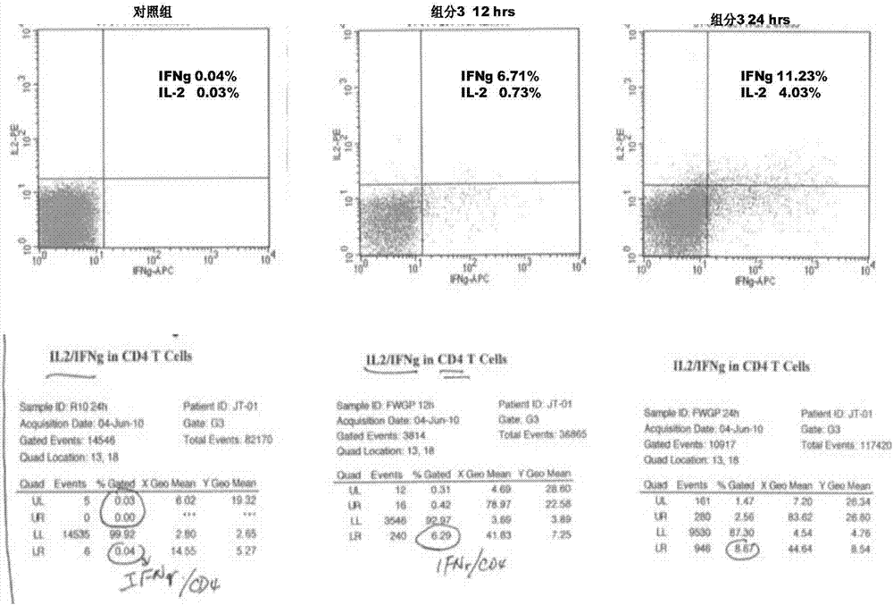 Wheat germ fermented flavonoid extract, preparation method of wheat germ fermented flavonoid extract, and application of wheat germ fermented flavonoid extract in animal raising