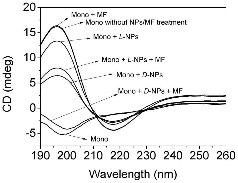 A kind of chiral manganese oxide nanoparticle and its preparation method and application