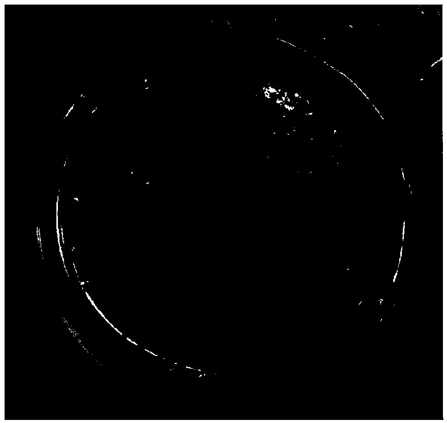 Nozzle tipping paper for antibiosis cigarette, preparation method thereof, and nozzle for antibiosis cigarette