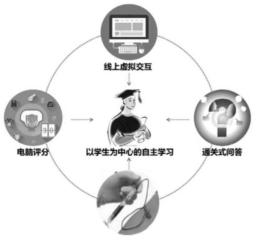 Virtual simulation experiment system for clinical precise application of metoprolol based on pharmacokinetics