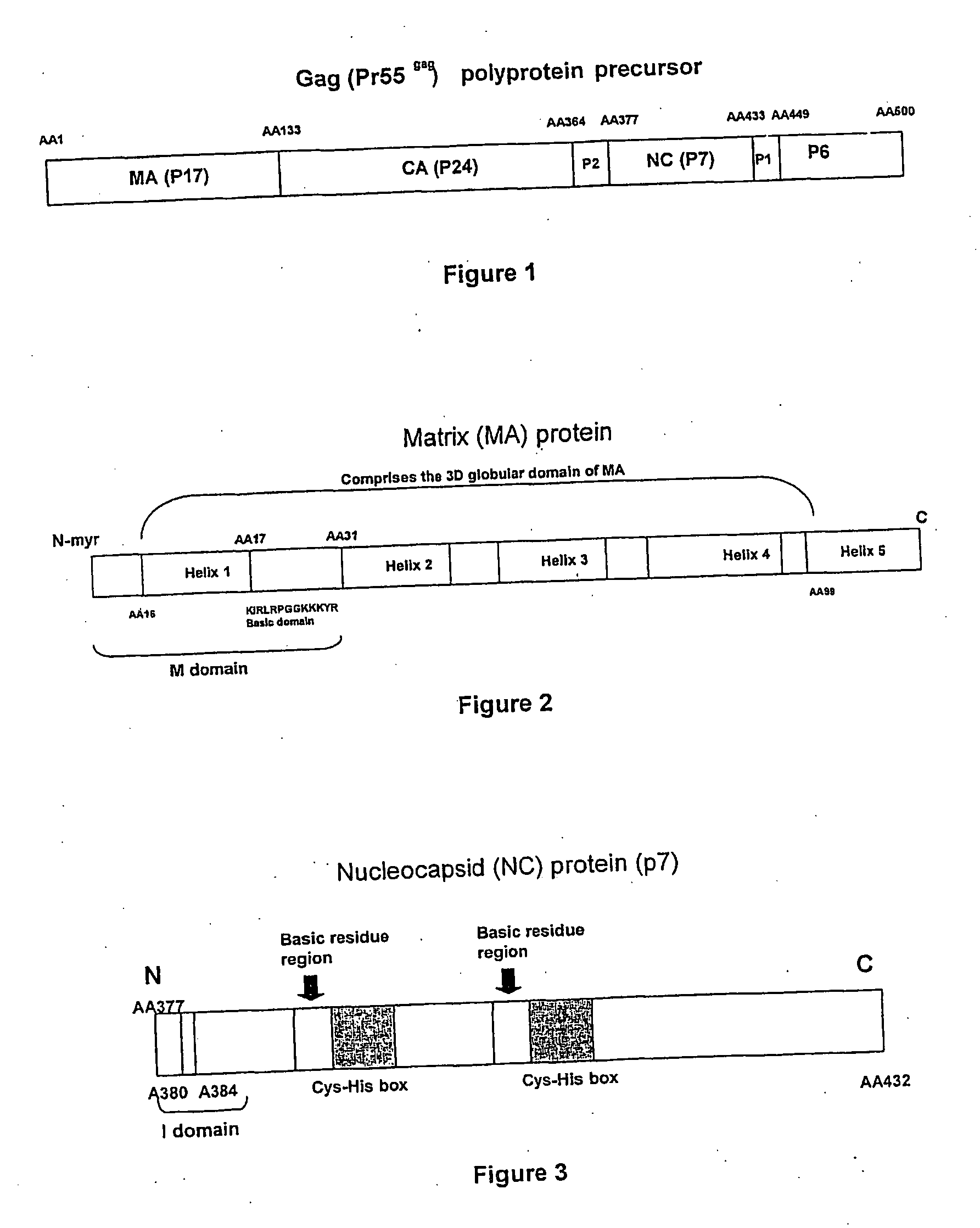 Method for the production of hiv-1 gag virus-like particles