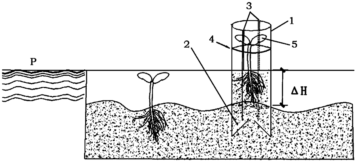 Improving Planting Elevation, Seed Germination Protection Device and Its Direct Insertion Afforestation Method
