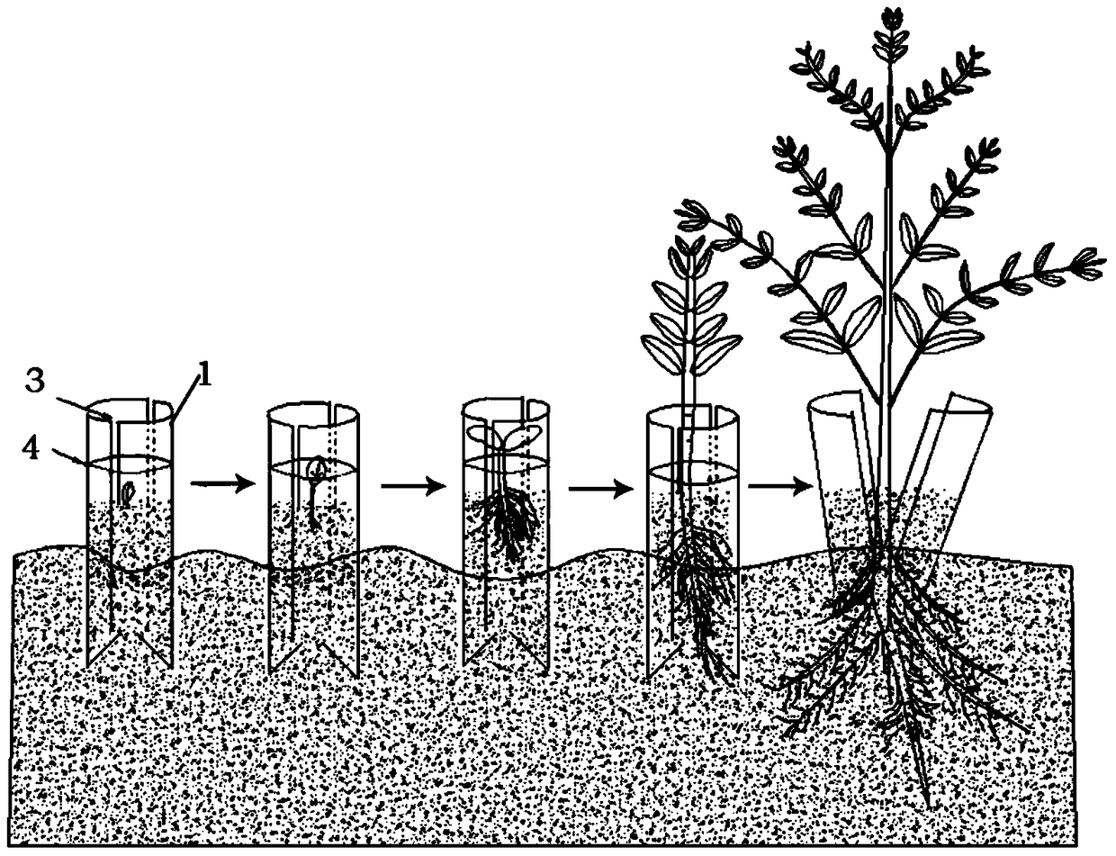 Improving Planting Elevation, Seed Germination Protection Device and Its Direct Insertion Afforestation Method