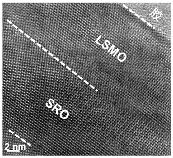 A strontium ruthenate/lanthanum strontium manganese oxide transition metal oxide heterojunction and preparation method thereof