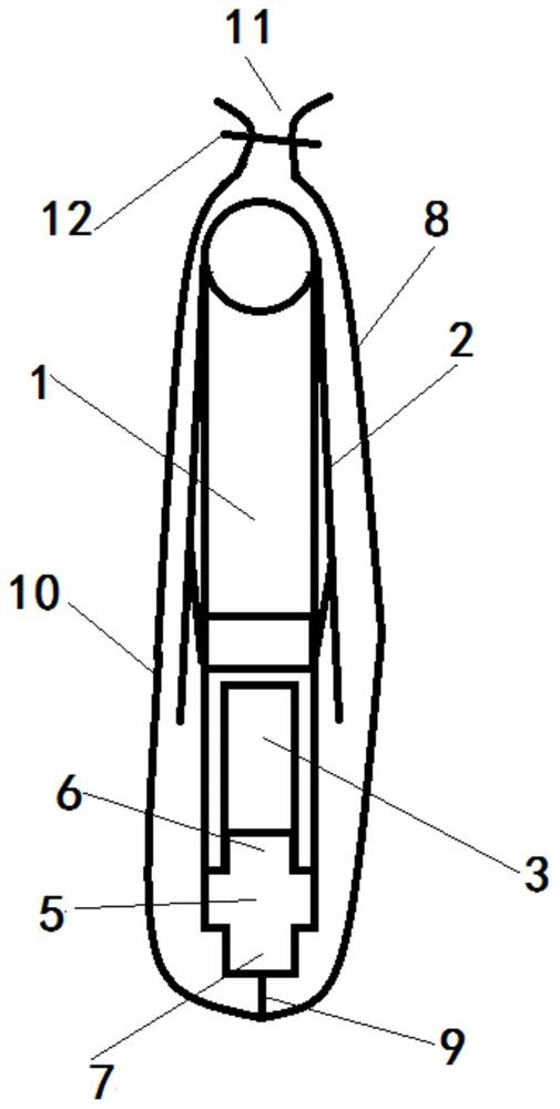 Umbrella structure capable of accommodating umbrella cover