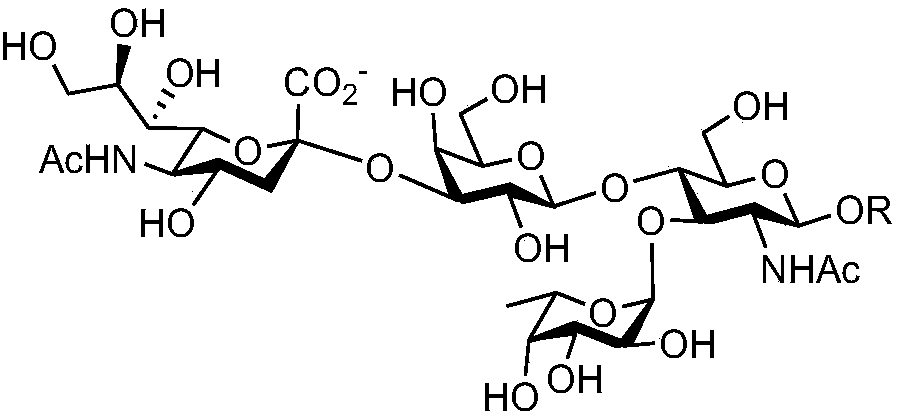 Synthesis method of oligosaccharide of Lewis x unimer, dimer and saliva acidifying derivatives thereof