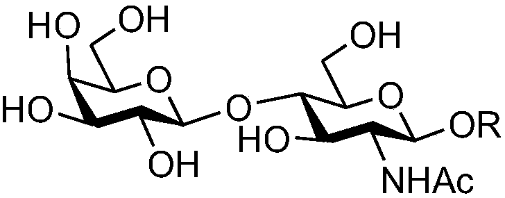 Synthesis method of oligosaccharide of Lewis x unimer, dimer and saliva acidifying derivatives thereof