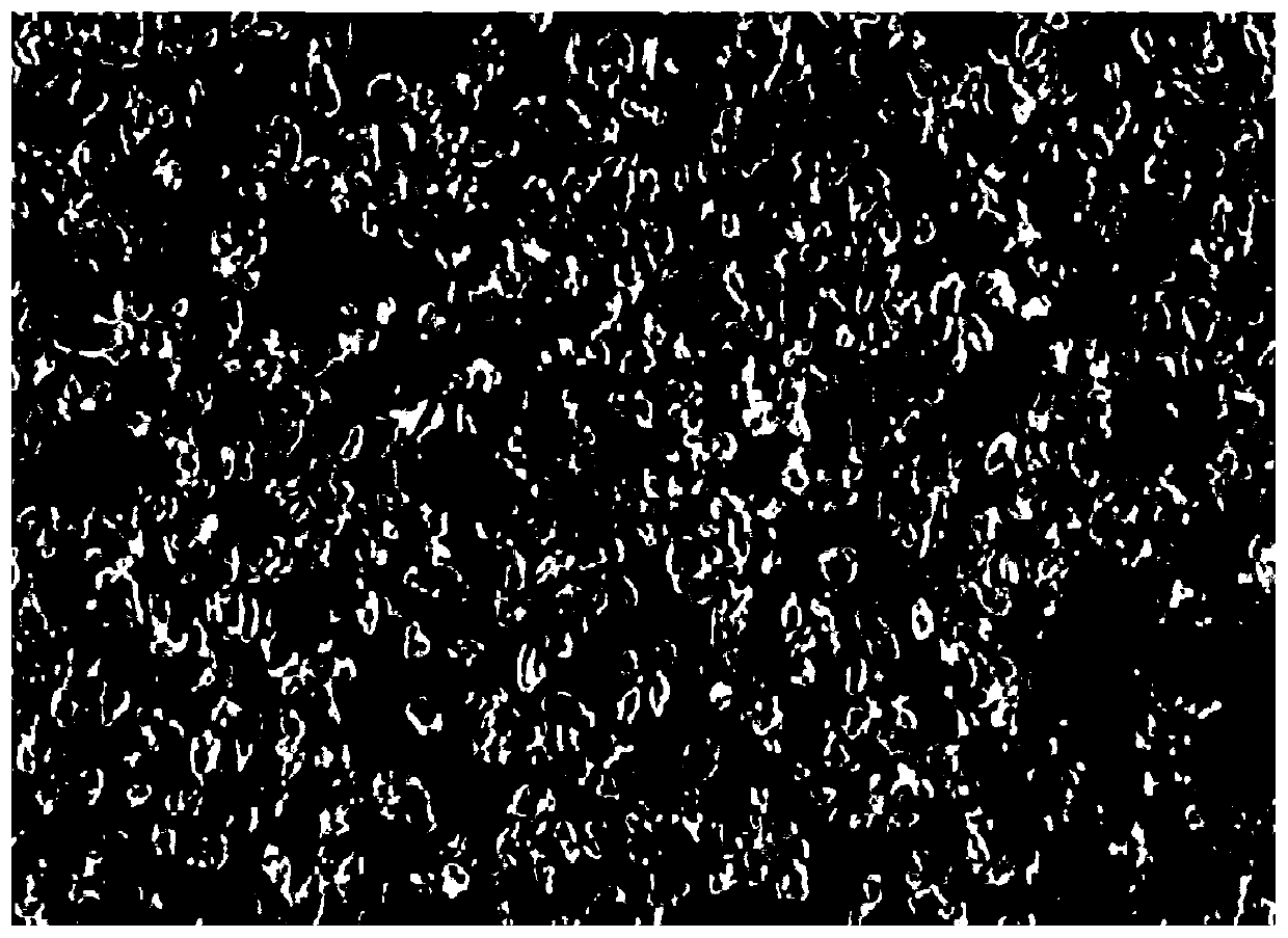 Method for preparing crystal form thioamino carboxylate by taking secondary amine as raw material