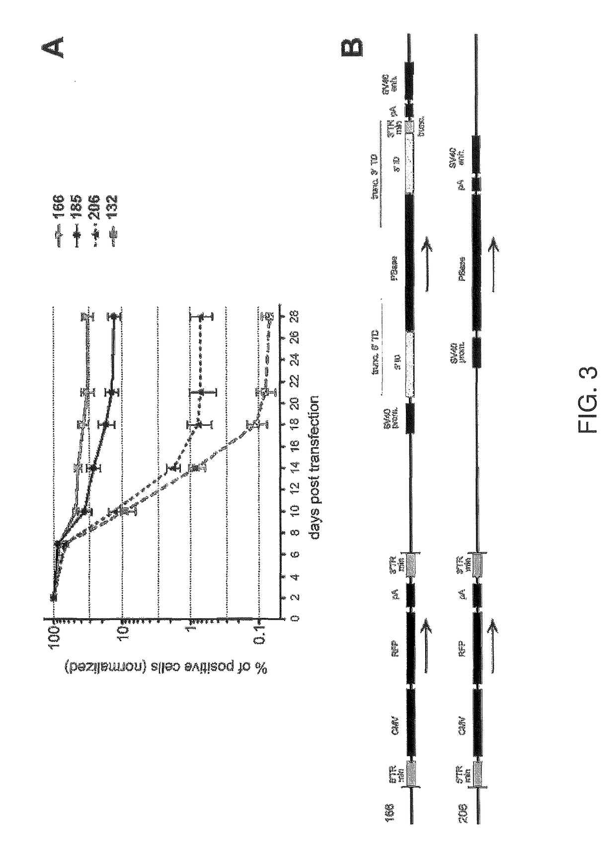 Minimal <i>piggyBac </i>vectors for genome integration