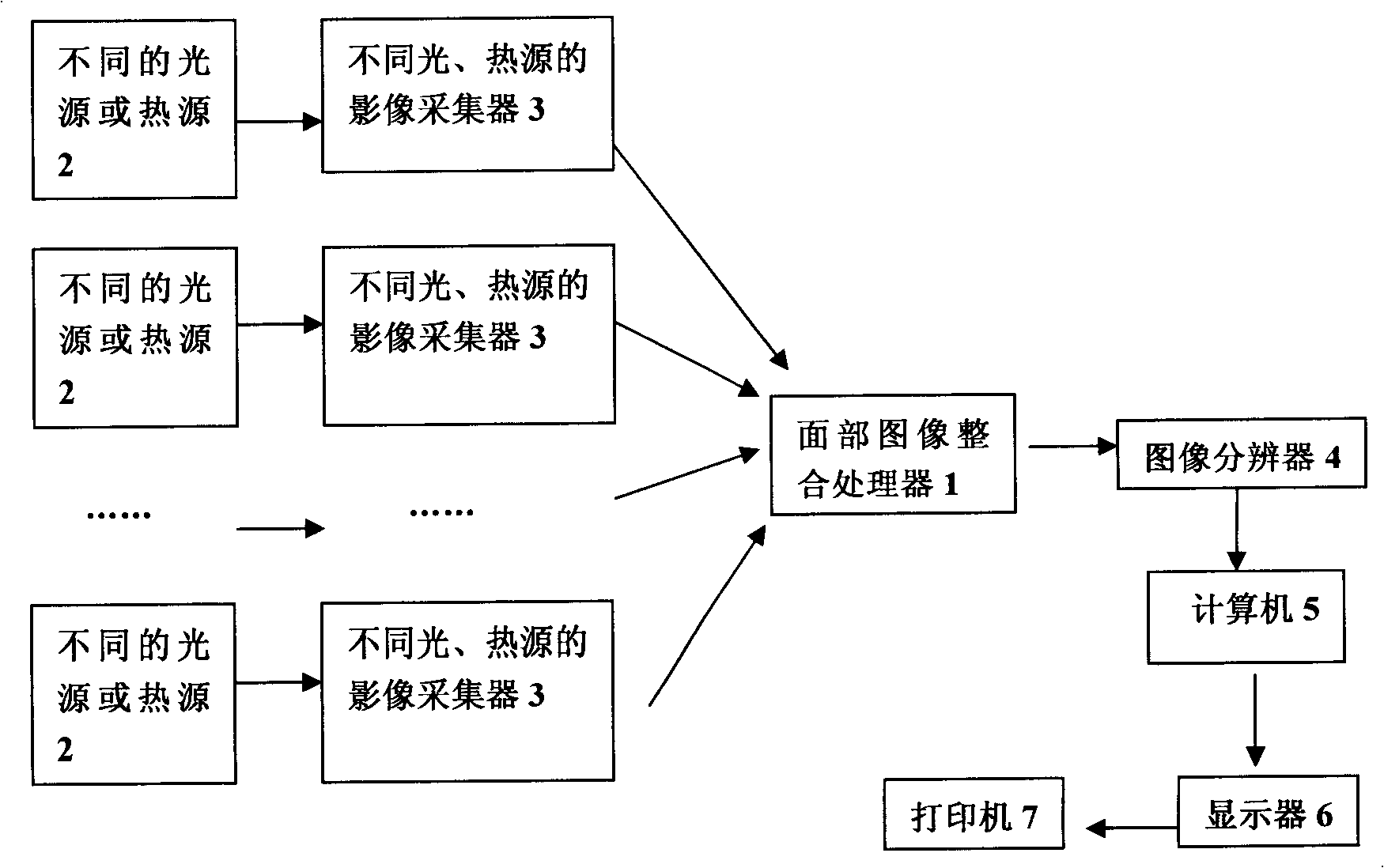 Conventional traditional Chinese medicine face colour inspection system