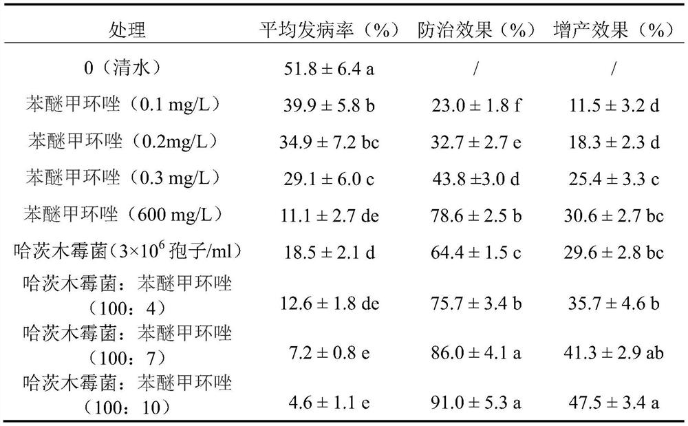 A microbial compound fungicide for preventing and treating mulberry ginkgo disease and its application