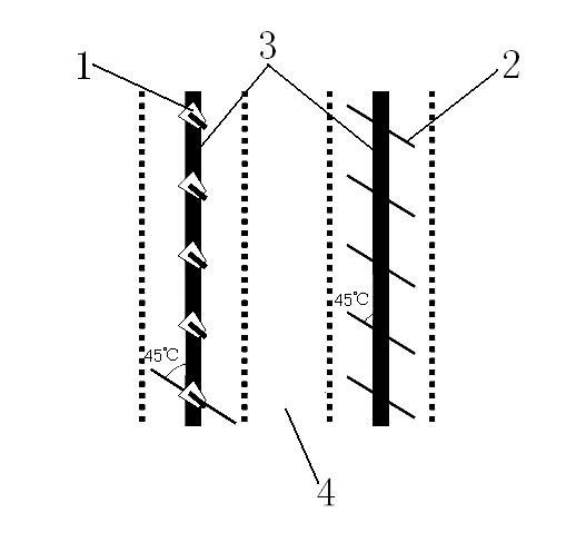 Sowing method capable of controlling extending directions of corn leaves