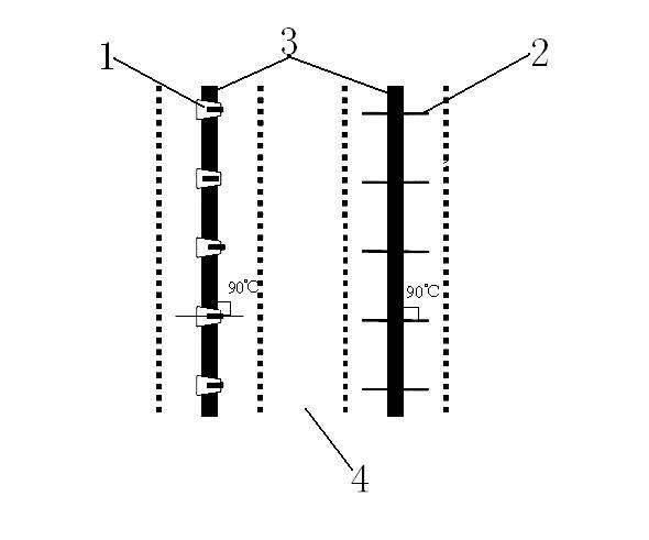 Sowing method capable of controlling extending directions of corn leaves