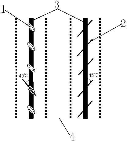 Sowing method capable of controlling extending directions of corn leaves