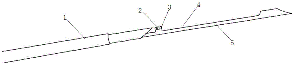 A mechanism for marking tumor borders on biopsy needles