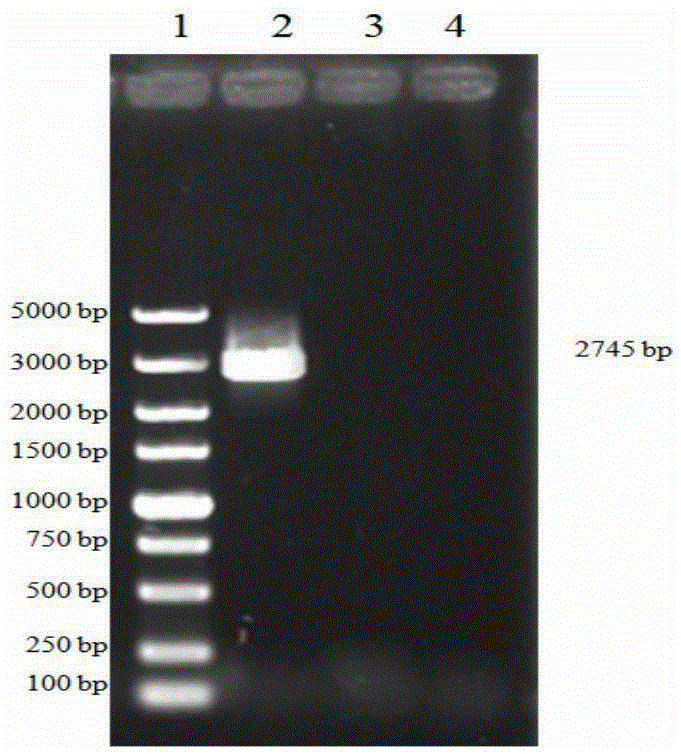 Porcine pseudorabies virus vaccine composition and preparing method and application thereof