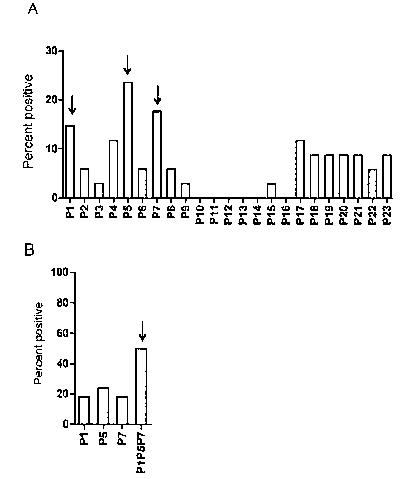 Characterization of BBK07 antigen of Borrelia burgdorferi and methods of use