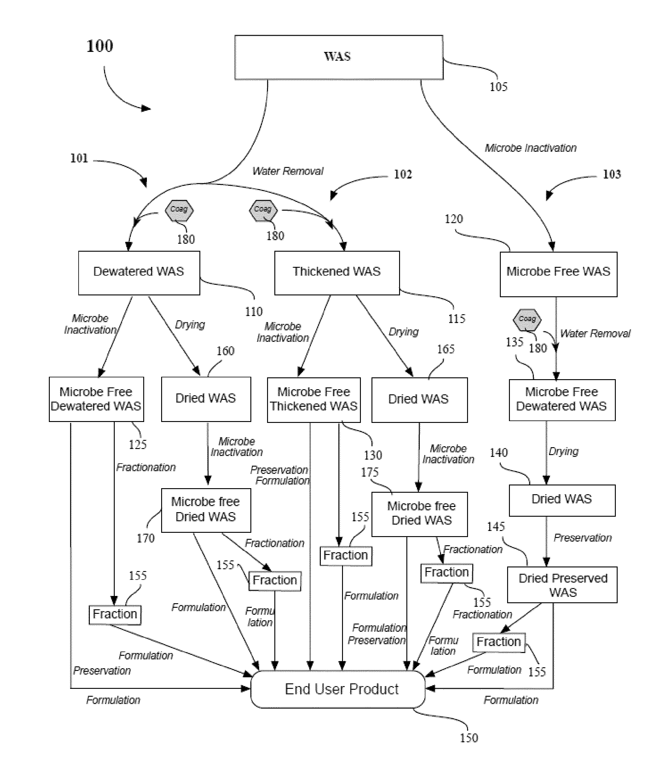Methods of processing waste activated sludge