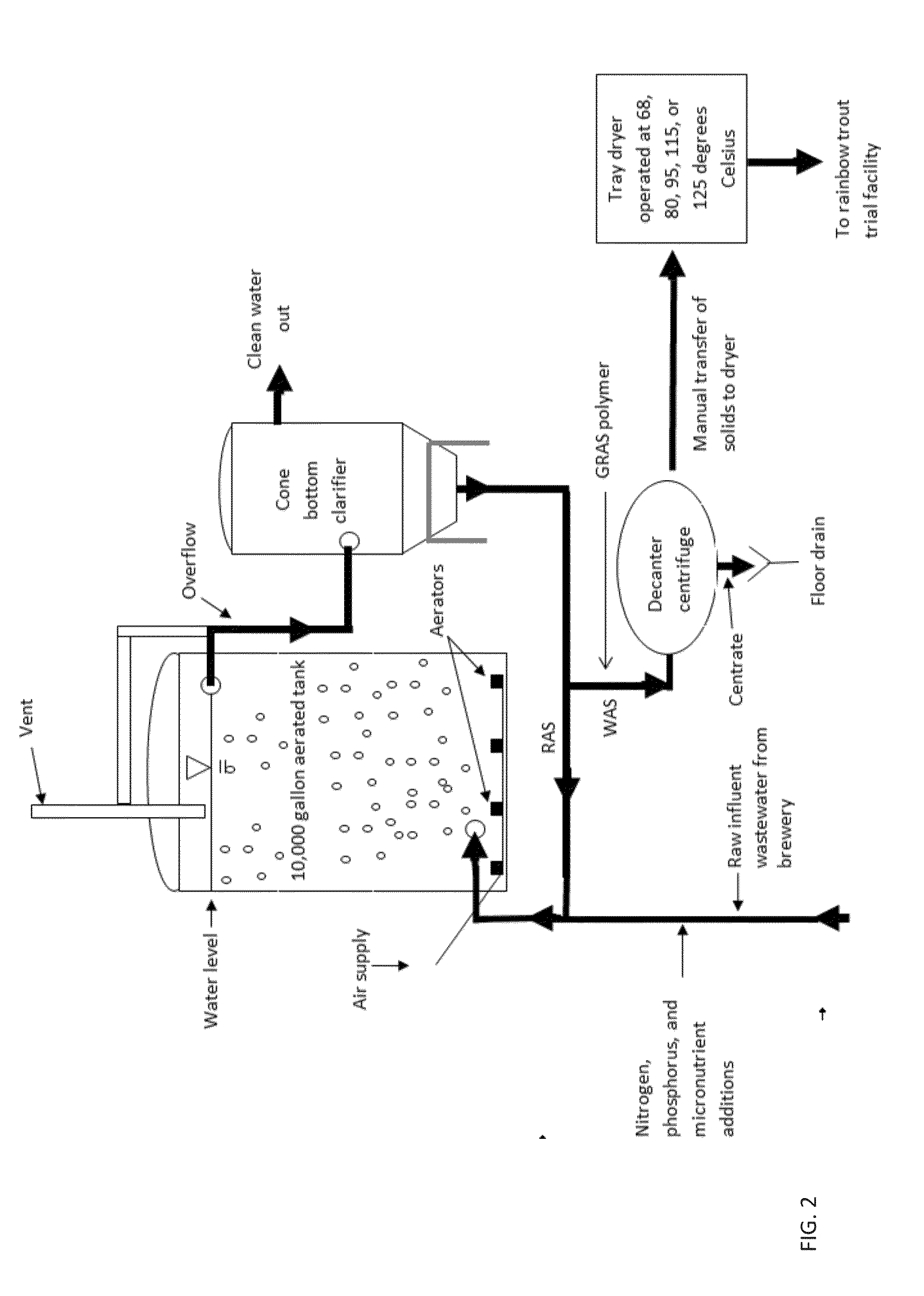 Methods of processing waste activated sludge