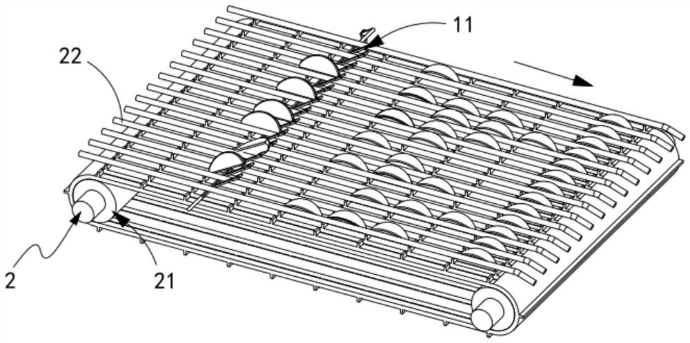 A slicer for garlic food processing