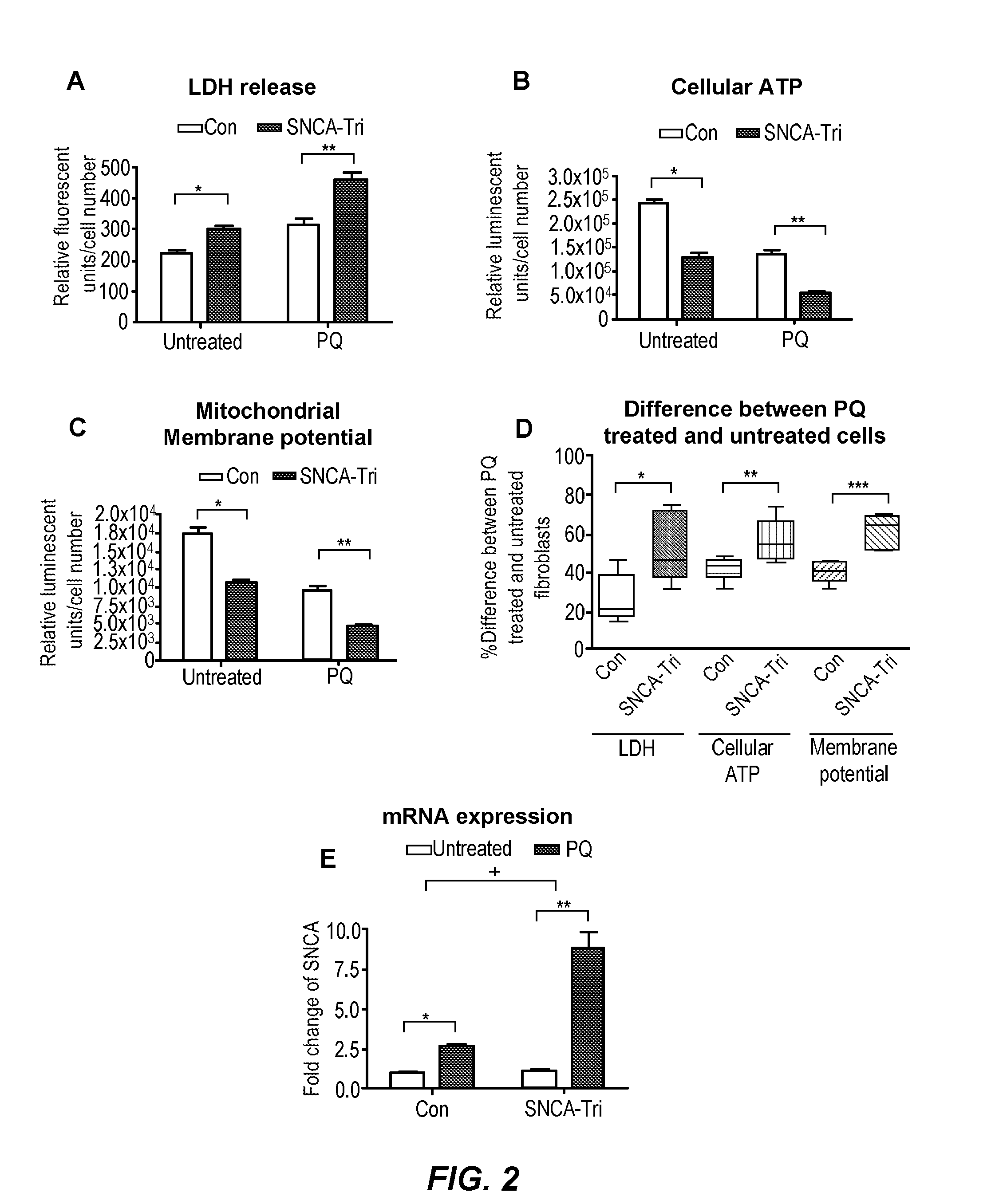 Compositions and methods for high-throughput screening in skin fibroblasts with an alpha-synuclein triplication