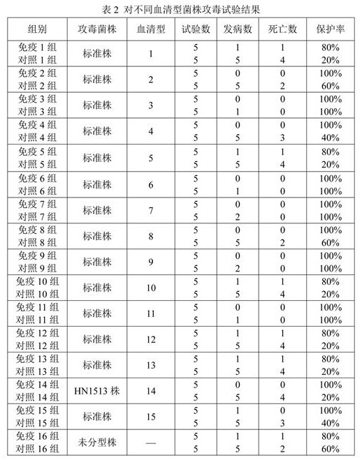 Serum 14-type haemophilus parasuis with cross protection force and application thereof