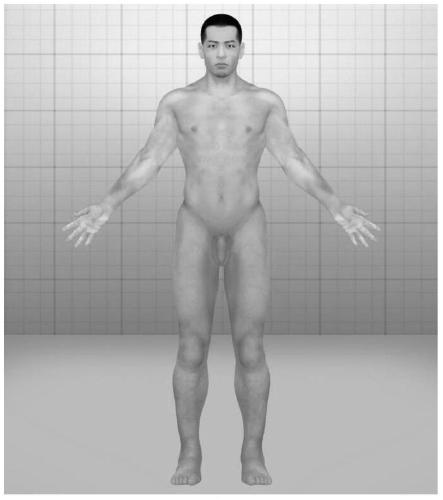 Rotation system and method for a three-dimensional human body model