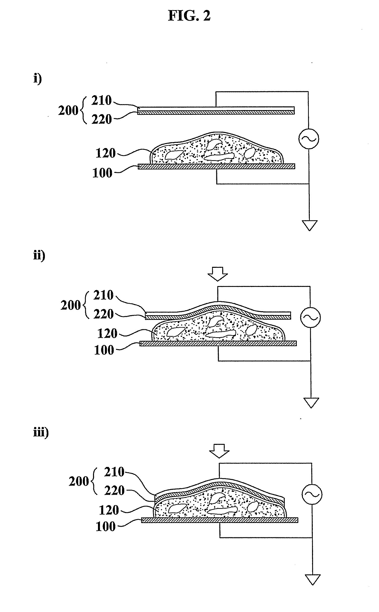 System for maintaining freshness including flexible conducting polymer electrode