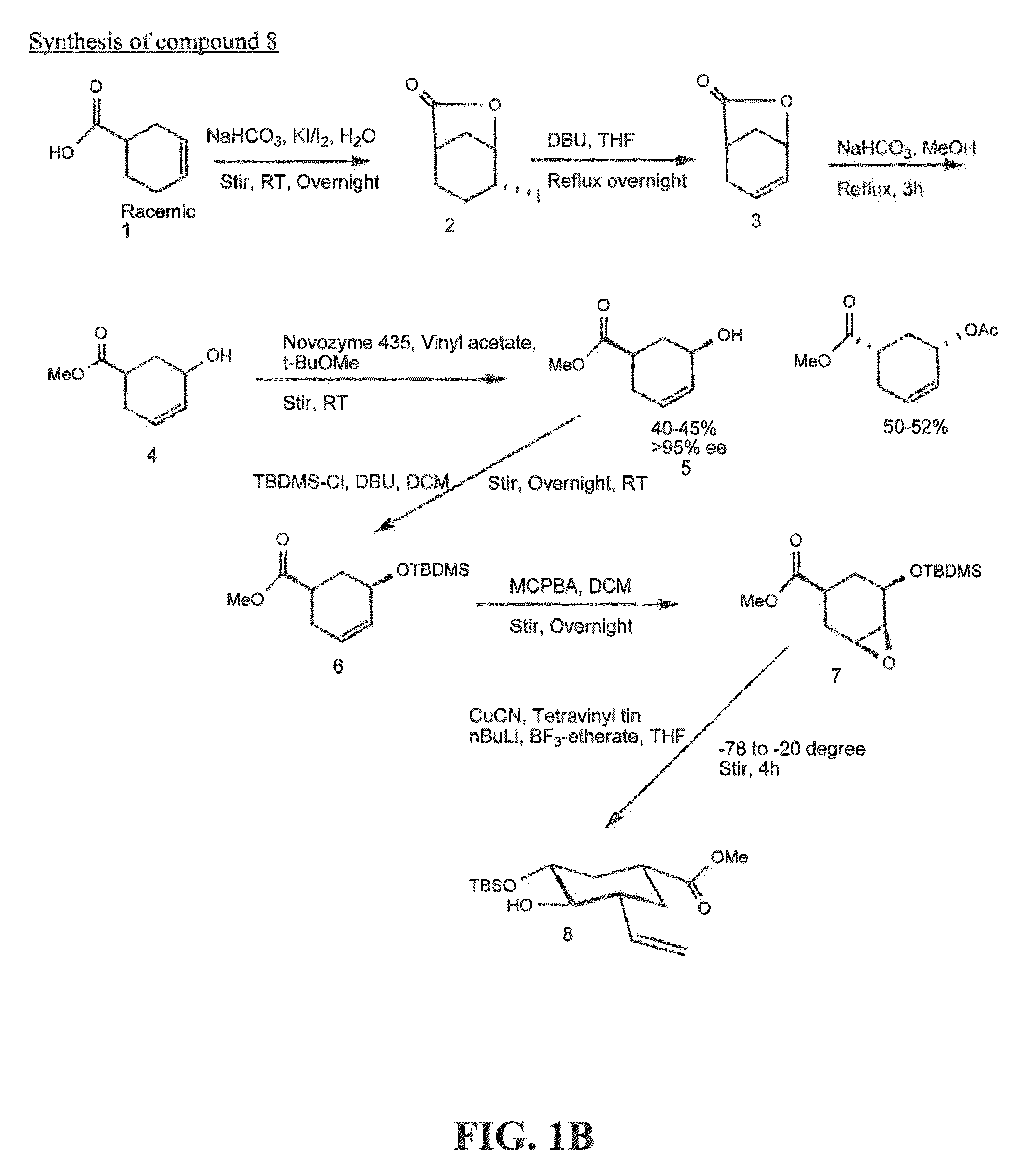 E-selectin antagonist compounds, compositions, and methods of use