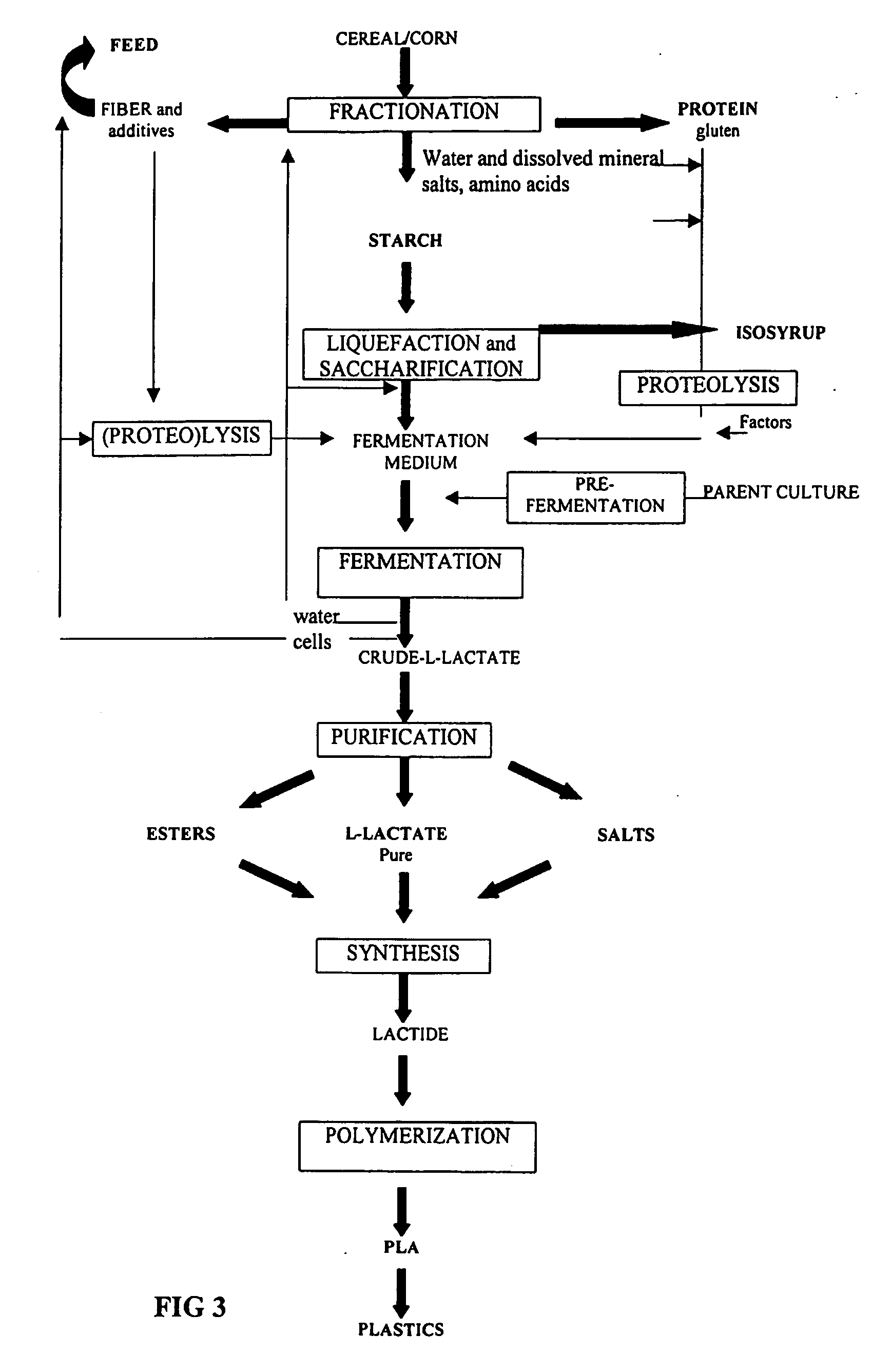 Method of production of biodegradable lactic acid polymers and the use of lactic acid polymers produced using such a method