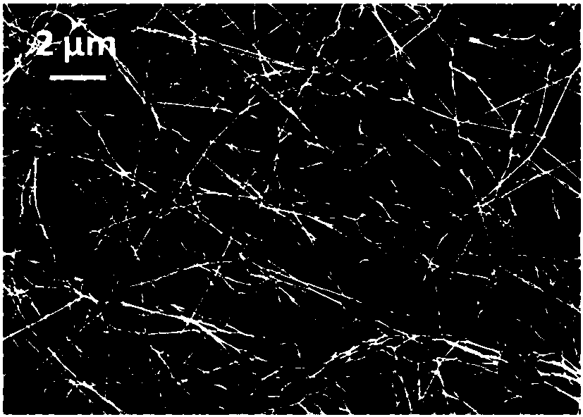 Beaded fiber material with bead shape and preparation method thereof