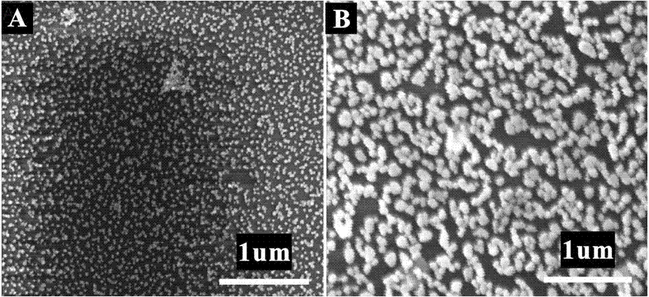 Surface-enhanced Raman scattering spectroscopy detection method based on capillary
