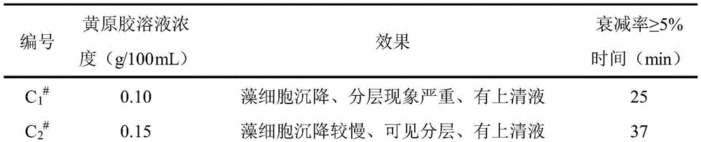 Preparation method of algae suspension stable sample for fluorescent measurement