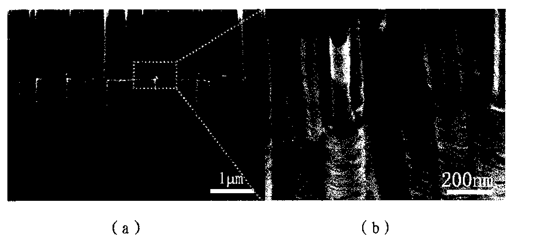 Branch controllable titanium dioxide nanotube array thin film and preparation method thereof