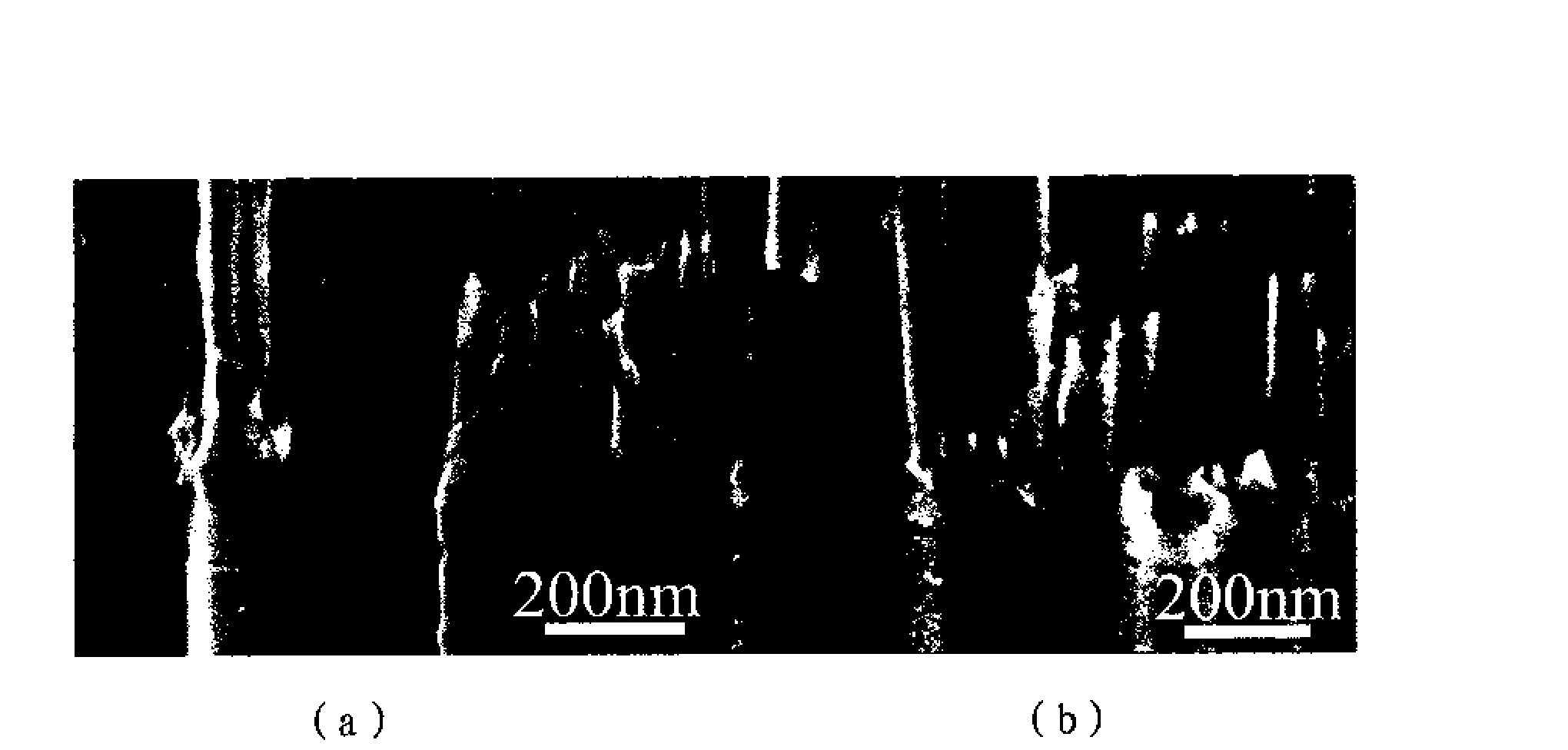 Branch controllable titanium dioxide nanotube array thin film and preparation method thereof