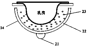 Bowl-type photoacoustic imaging breast scanning device and scanning method thereof