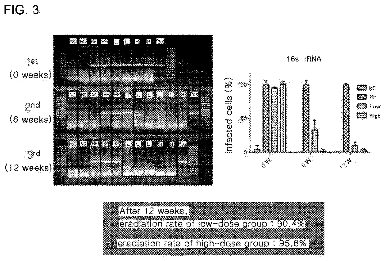 Anti-helicobacter food composition comprising beta-caryophyllene