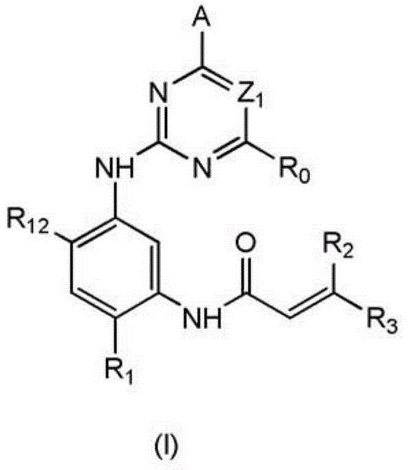 2,4-disubstituted phenyl-1,5-diamine derivatives and use thereof, and pharmaceutical composition and medicinal composition prepared from 2,4-disubstituted phenyl-1,5-diamine derivative