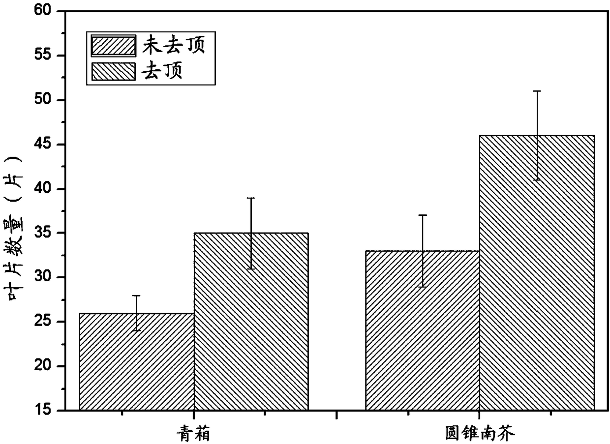 Phytoremediation method for treating cadmium, manganese and chromium compound polluted soil